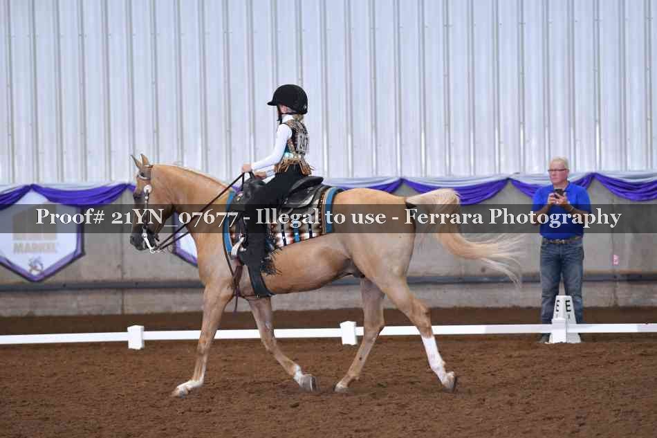 Proof 21YN_07677