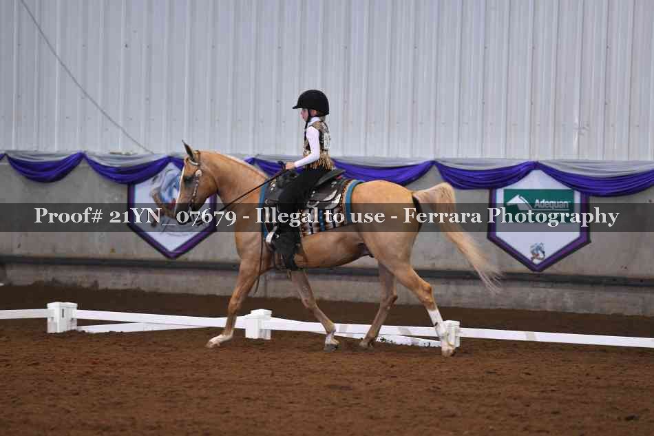 Proof 21YN_07679