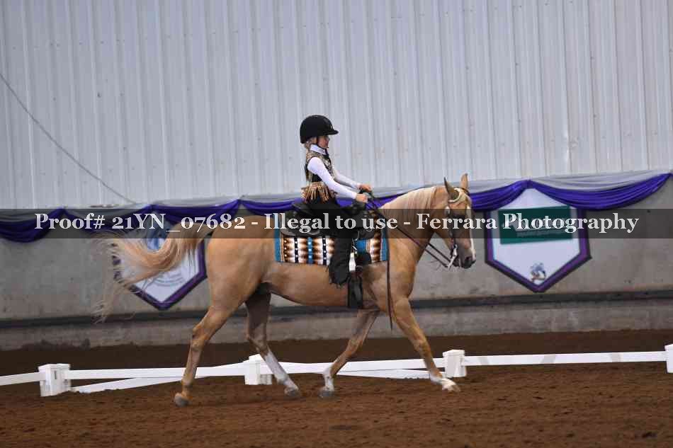 Proof 21YN_07682