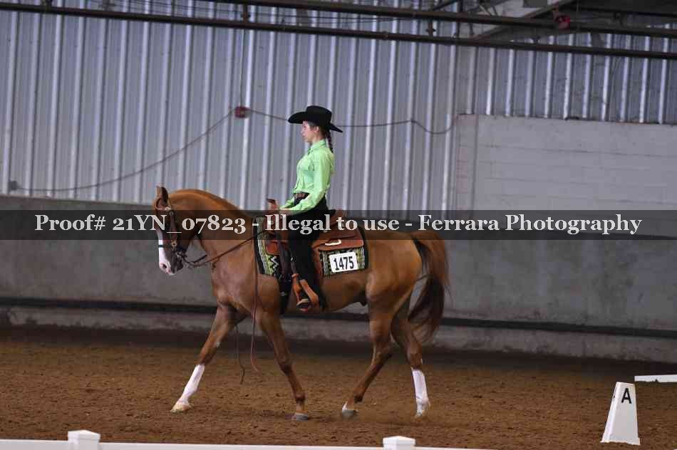 Proof 21YN_07823