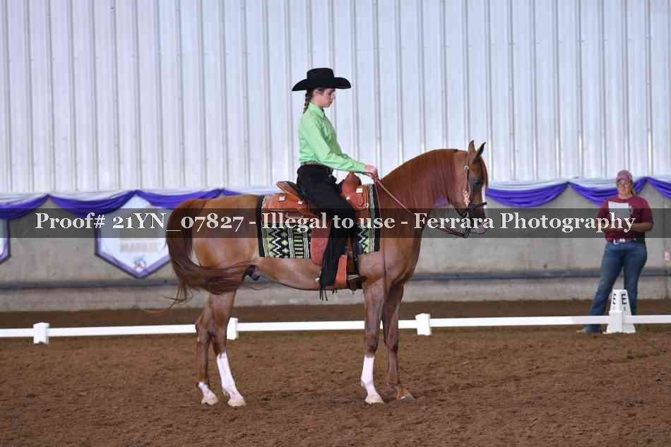 Proof 21YN_07827