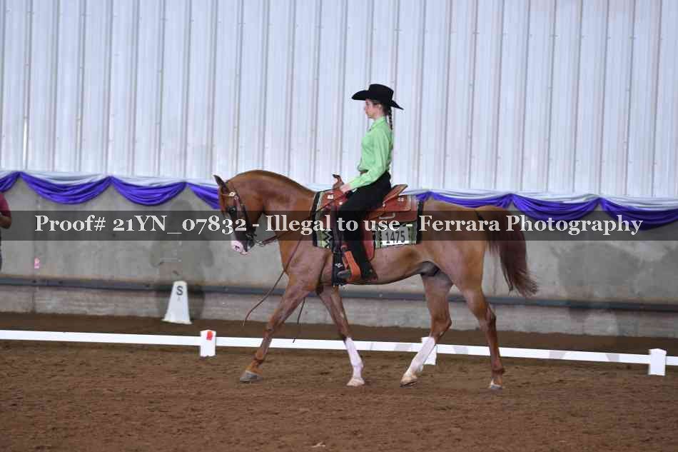 Proof 21YN_07832