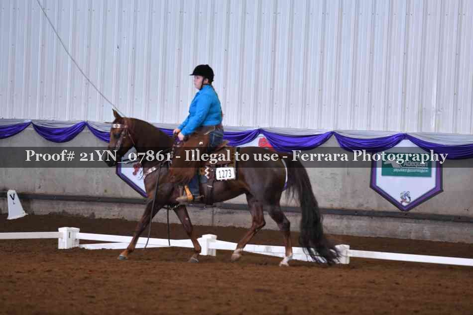 Proof 21YN_07861