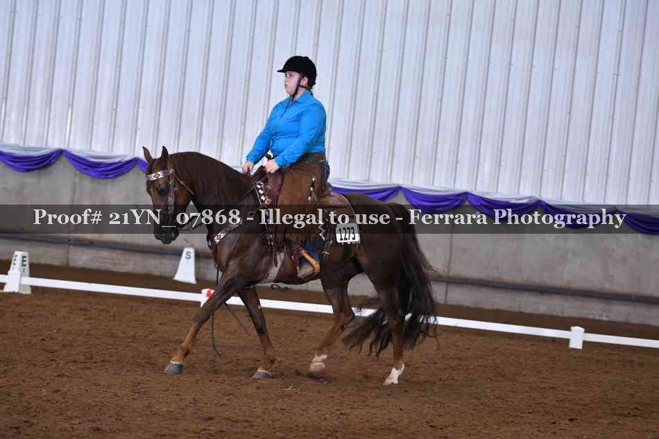 Proof 21YN_07868