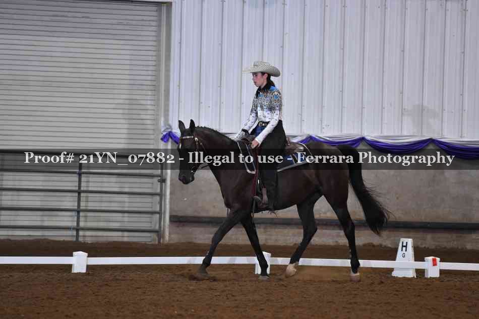 Proof 21YN_07882