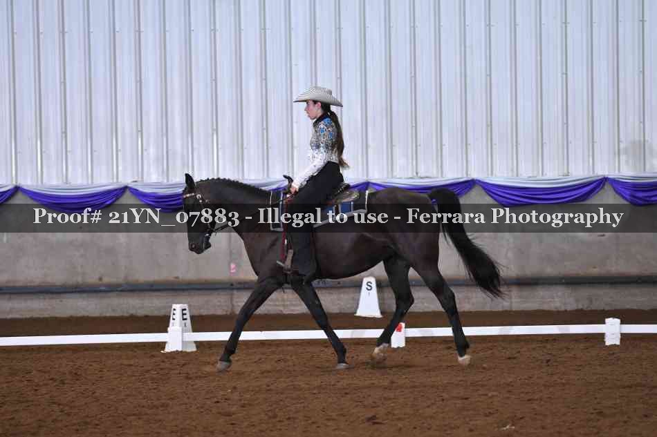 Proof 21YN_07883