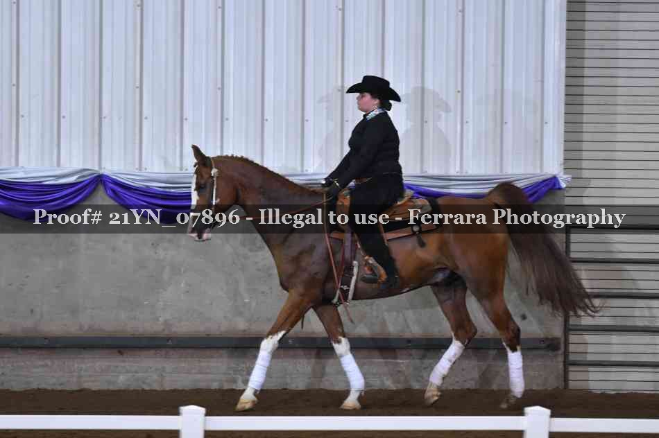 Proof 21YN_07896