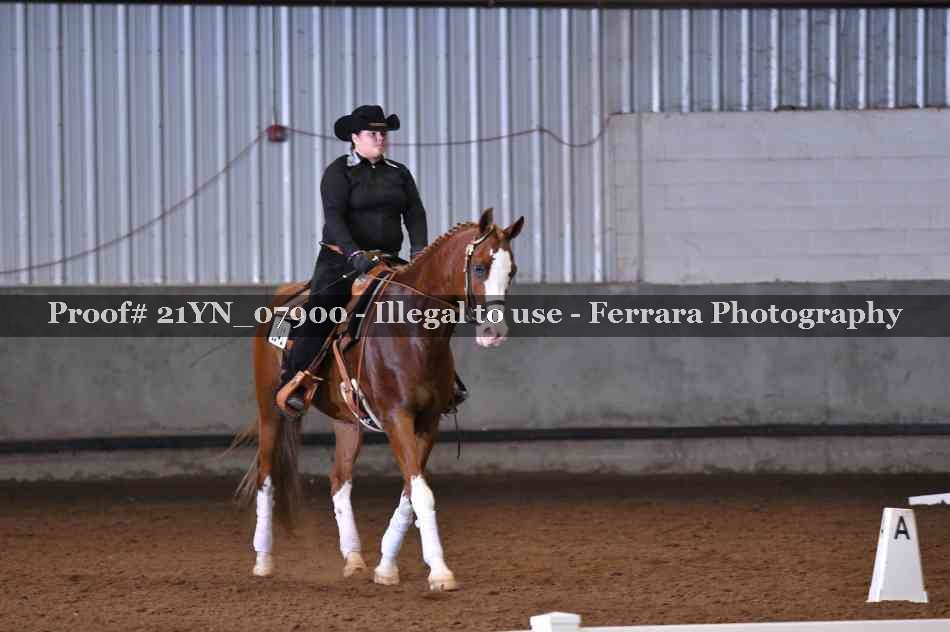 Proof 21YN_07900