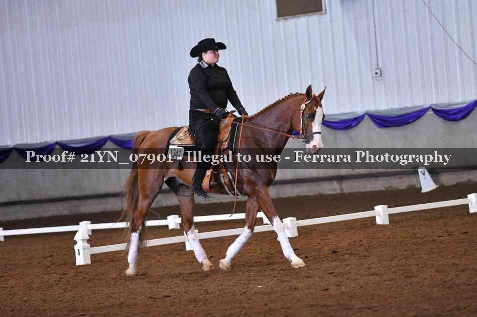 Proof 21YN_07901