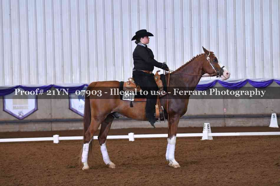 Proof 21YN_07903