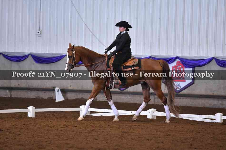 Proof 21YN_07907