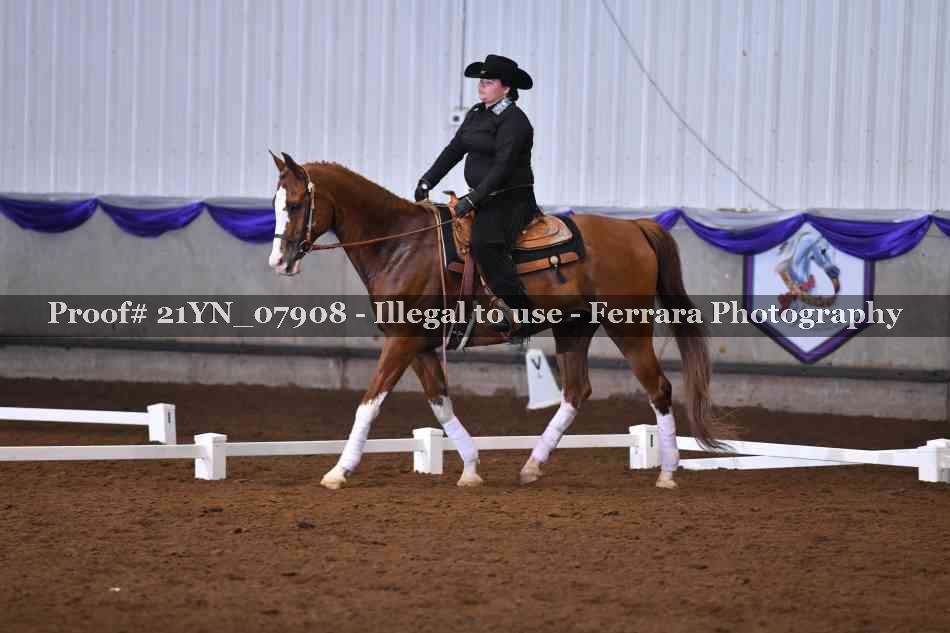 Proof 21YN_07908