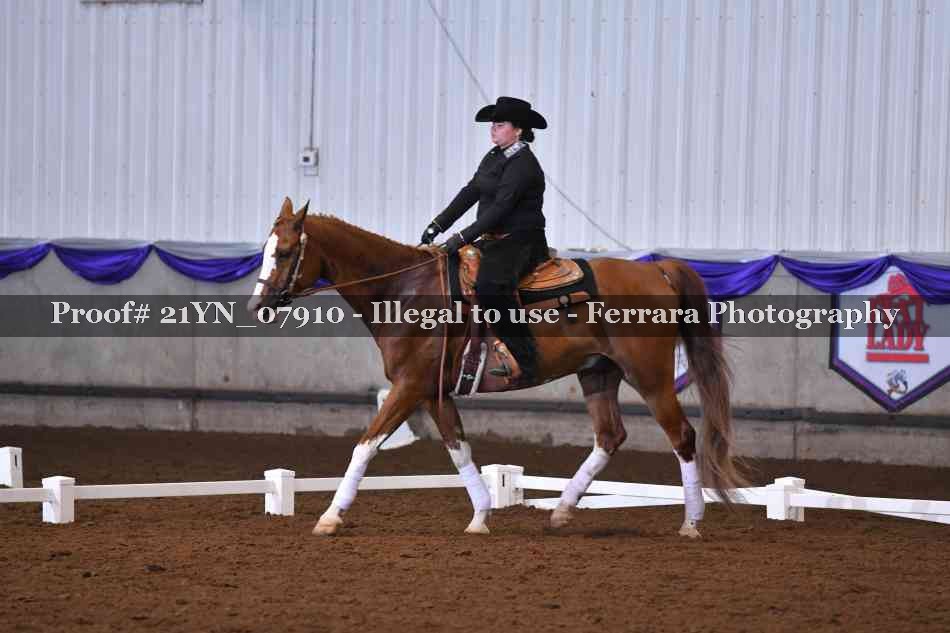 Proof 21YN_07910
