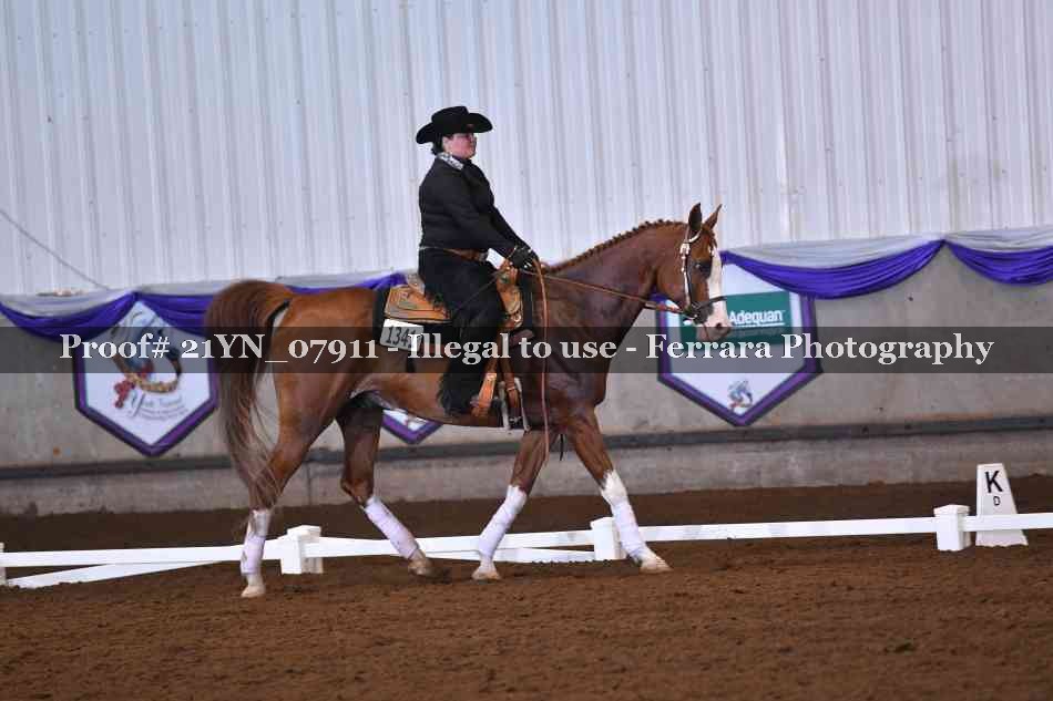 Proof 21YN_07911