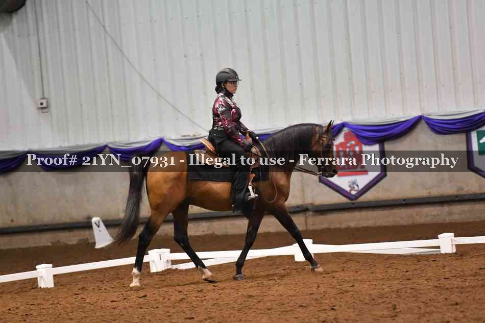 Proof 21YN_07931