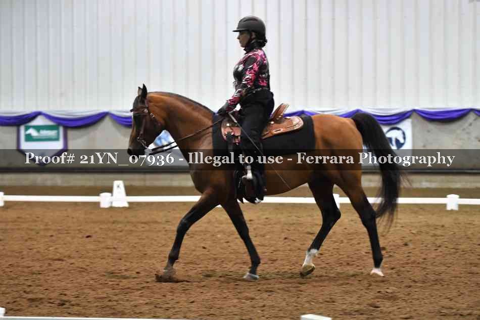 Proof 21YN_07936