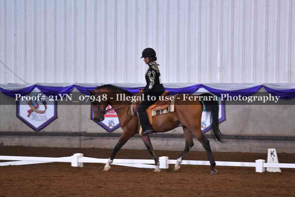 Proof 21YN_07948