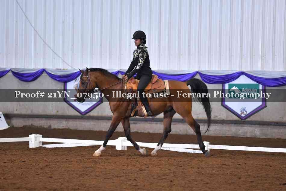 Proof 21YN_07950