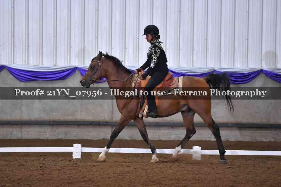 Proof 21YN_07956
