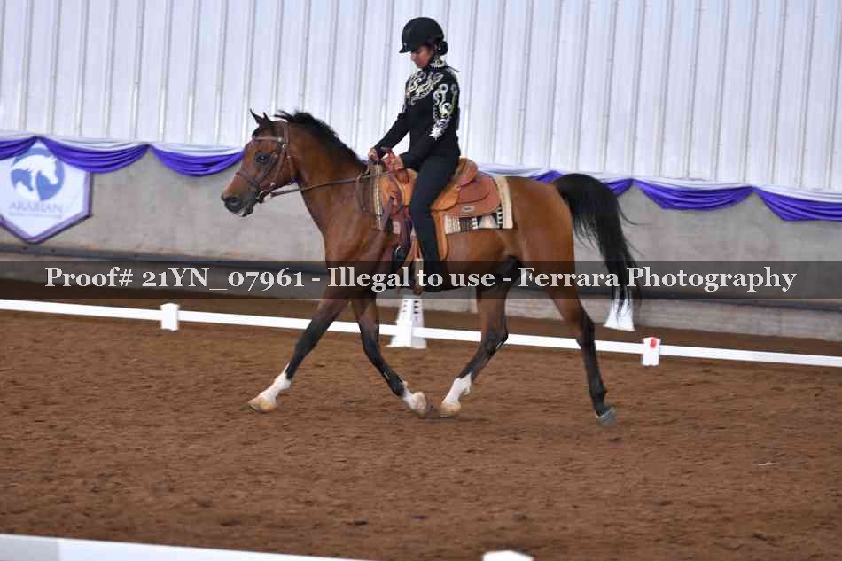 Proof 21YN_07961