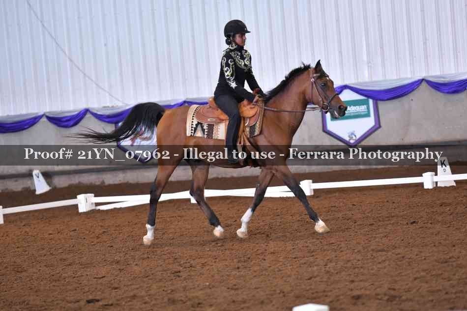 Proof 21YN_07962