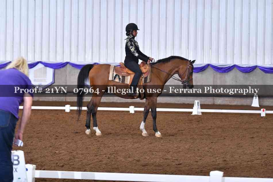 Proof 21YN_07964