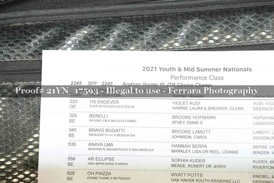 Proof 21YN_17593
