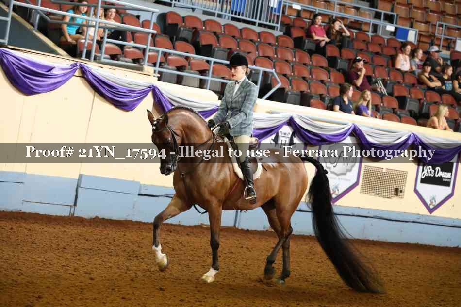 Proof 21YN_17594