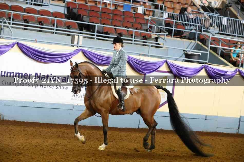 Proof 21YN_17595