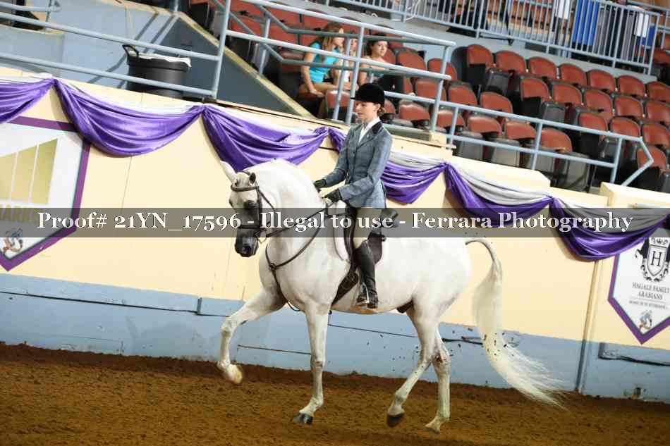 Proof 21YN_17596