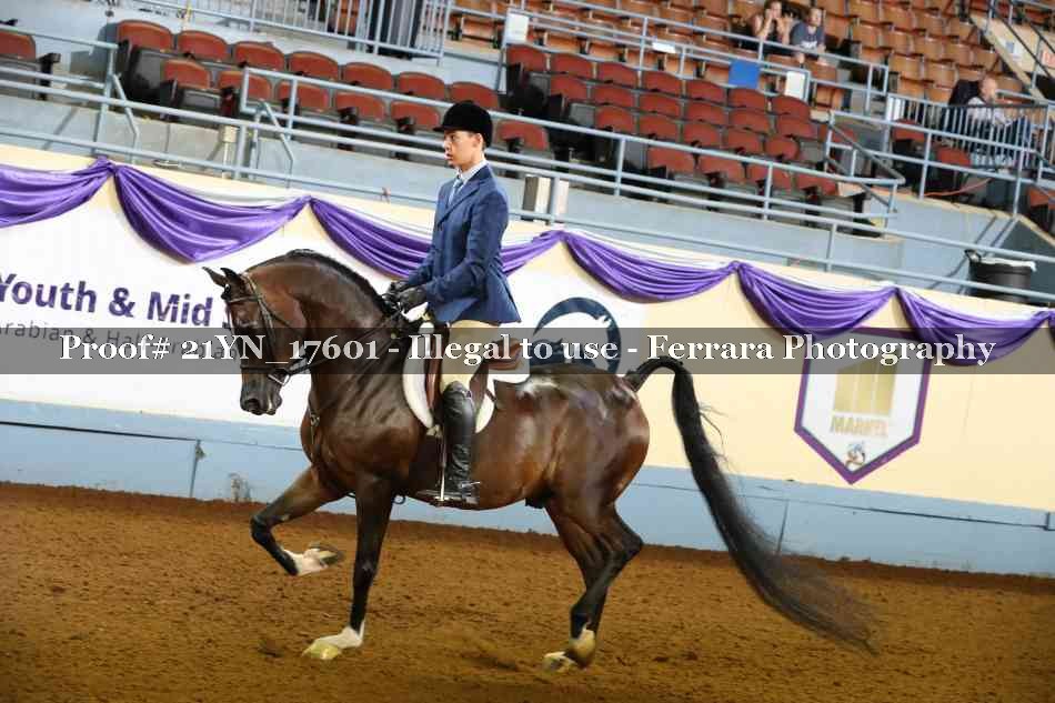 Proof 21YN_17601