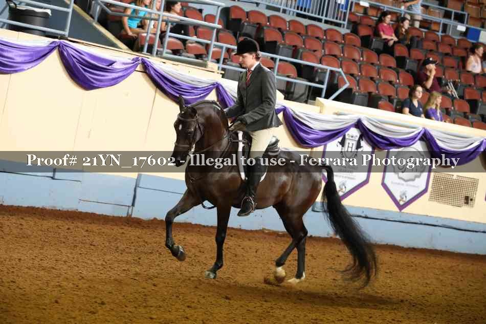 Proof 21YN_17602