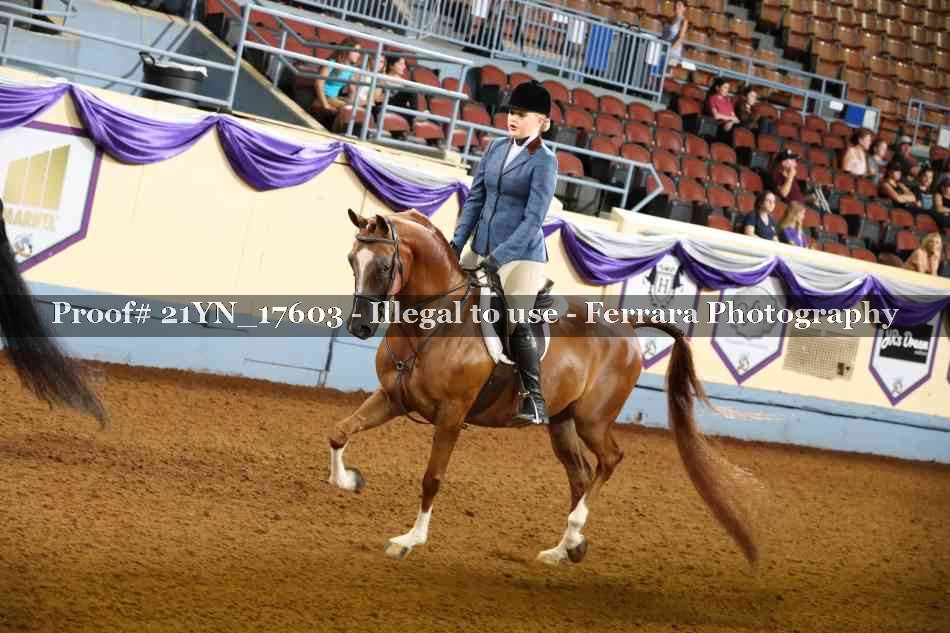 Proof 21YN_17603