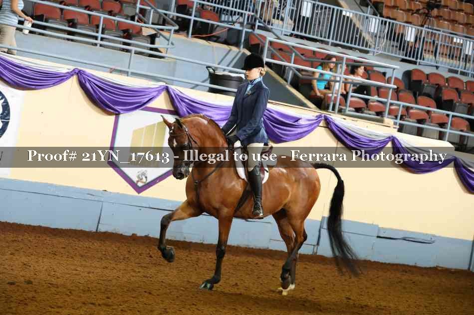Proof 21YN_17613