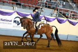 21YN_17617 proof