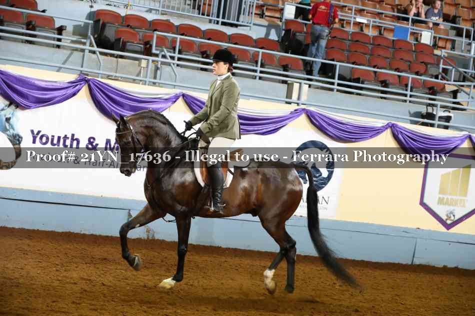 Proof 21YN_17636