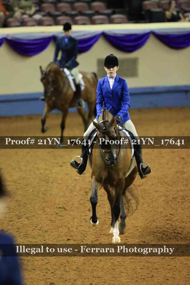 Proof 21YN_17641