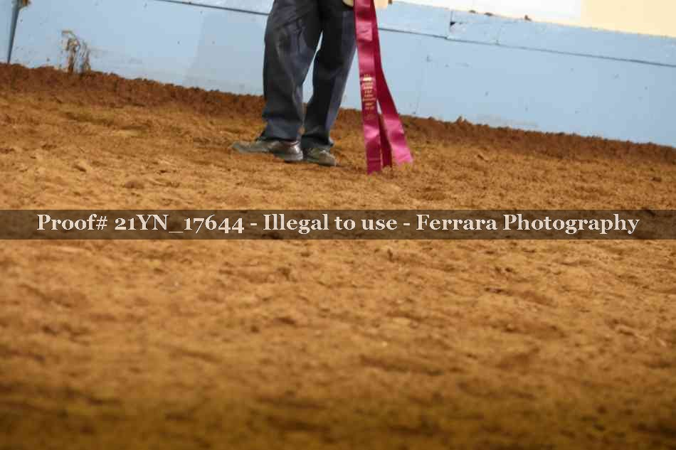 Proof 21YN_17644