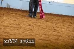 21YN_17644 proof