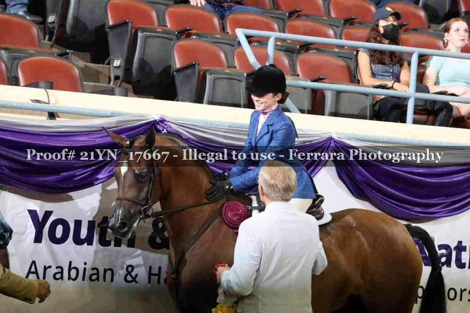 Proof 21YN_17667