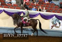 21YN_17717 proof
