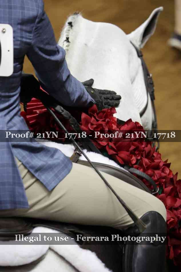 Proof 21YN_17718