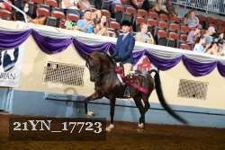 21YN_17723 proof