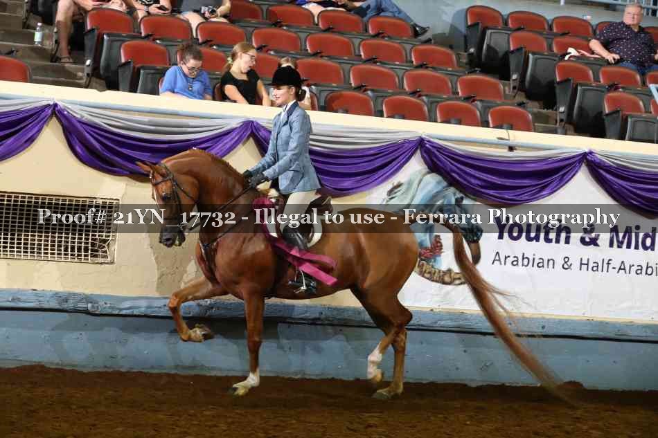 Proof 21YN_17732