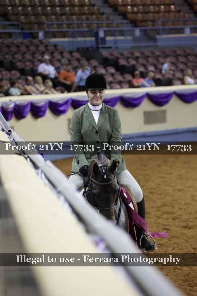 Proof 21YN_17733