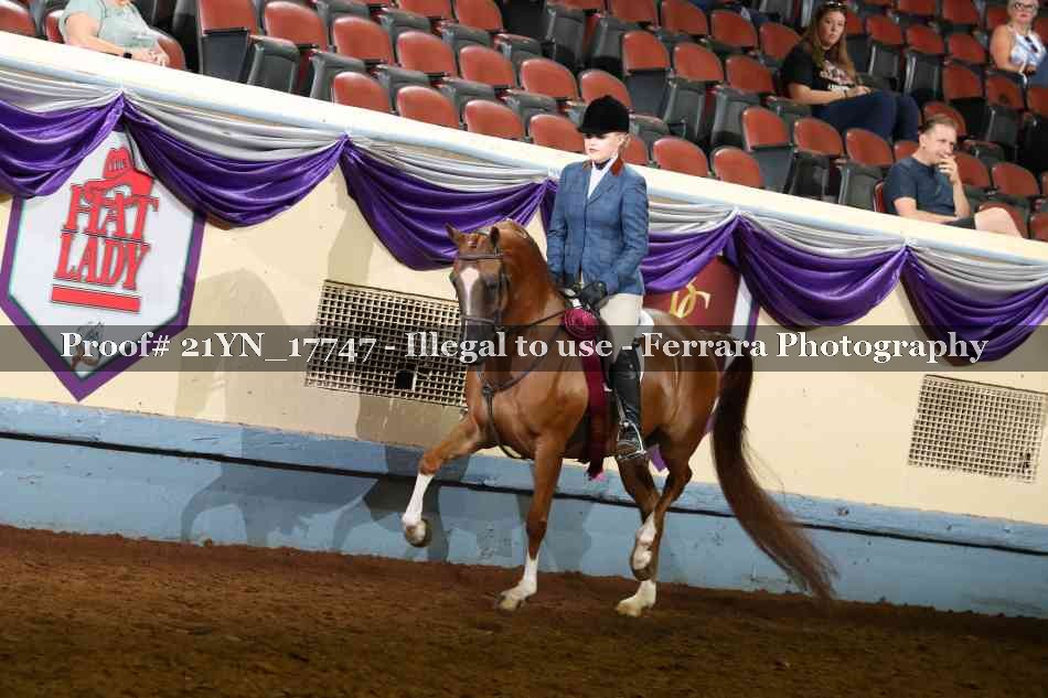 Proof 21YN_17747