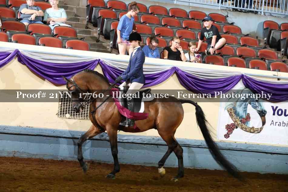Proof 21YN_17760