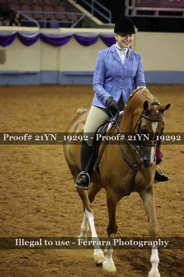 Proof 21YN_19292