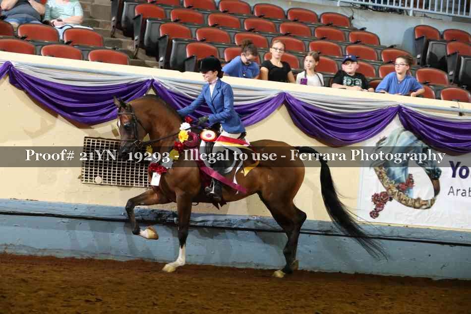 Proof 21YN_19293