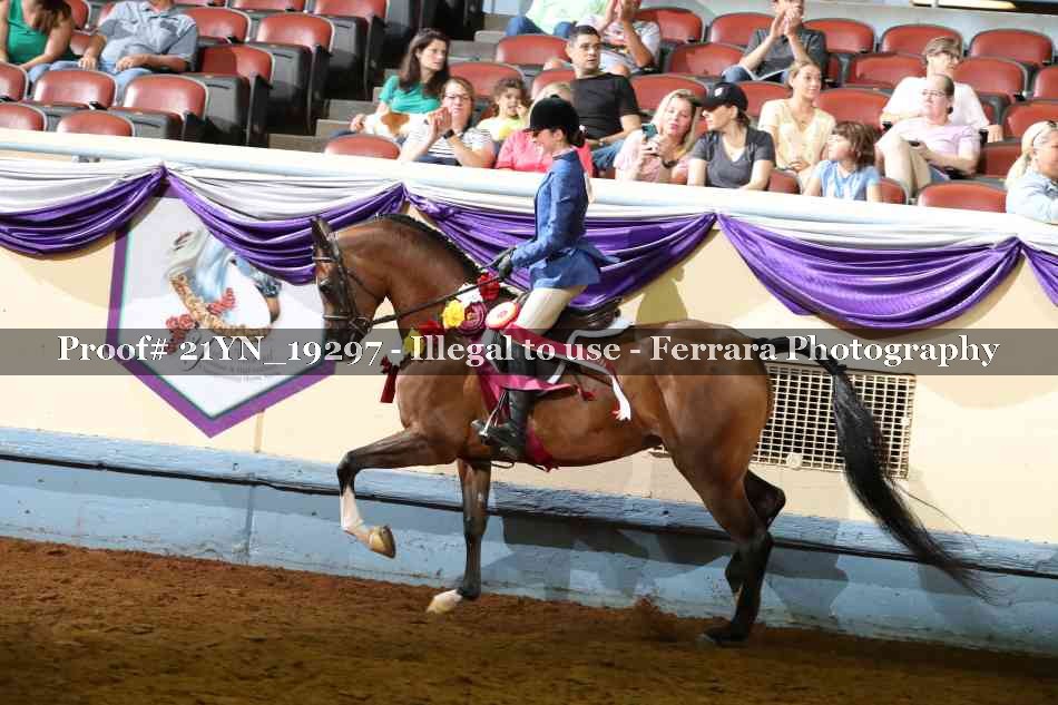 Proof 21YN_19297